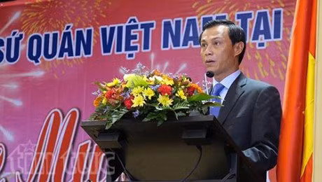 Les Vietnamiens à l'étranger accueillent le Têt traditionnel du Singe ảnh 1