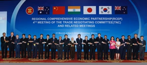 Démarrage du 11e cycle de négociations du RCEP ảnh 1