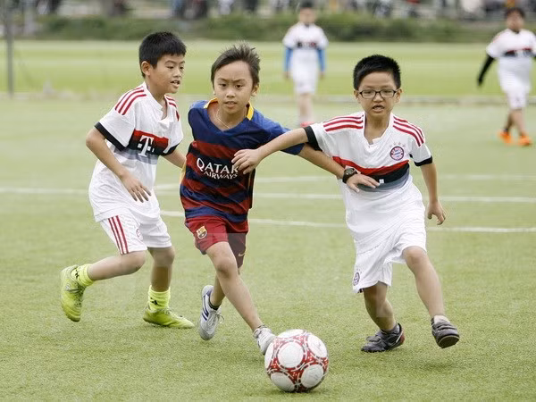 La Norvège aide Thua Thien-Hue dans le développement des clubs de football ảnh 1