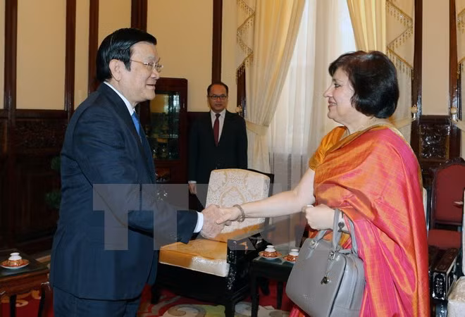 Le président Truong Tan Sang promeut le développement des relations Vietnam-Inde ảnh 1