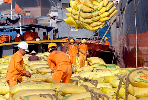 An Giang entend accélérer ses exportations de riz ảnh 2