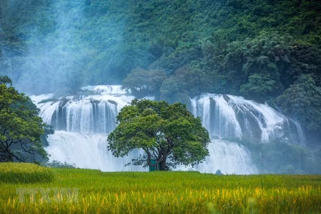 Cao Bang : ouverture de la 2e fête touristique de la cascade de Ban Gioc ảnh 1