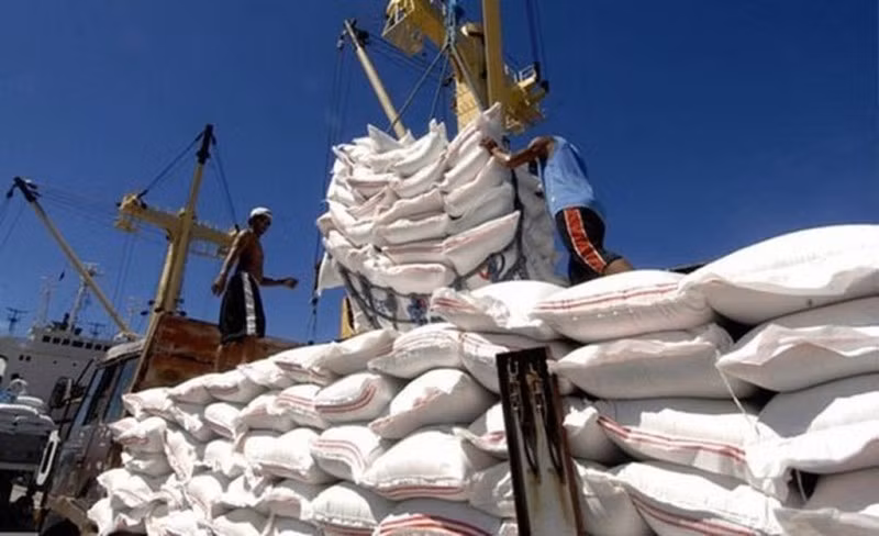 Les prix à l'exportation du riz vietnamien en hausse au cours des neuf derniers mois ảnh 1