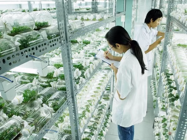 Thai Nguyen renforce une coopération agricole de haute technologie avec Israël ảnh 1