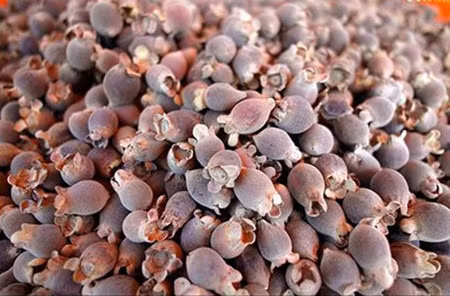 Phu Quôc : ses plages, son «nuoc mam», son poivre et ses myrtes ảnh 3