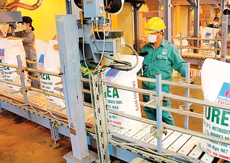 L’engrais azoté Phu My dans la liste des 40 marques les plus puissantes au Vietnam ảnh 1