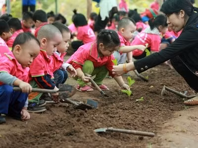 Plan pour l'éducation maternelle 2016-2017 ảnh 1
