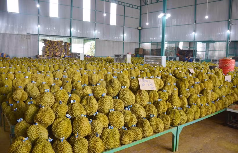 De nombreux produits agricoles vietnamiens sont très "chauds" sur le marché international ảnh 1
