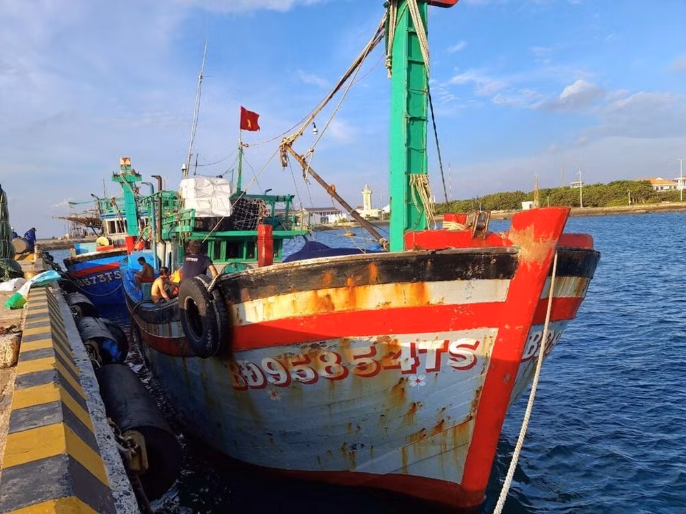 La lutte contre la pêche illicite va changer l’industrie de la pêche au Vietnam ảnh 1