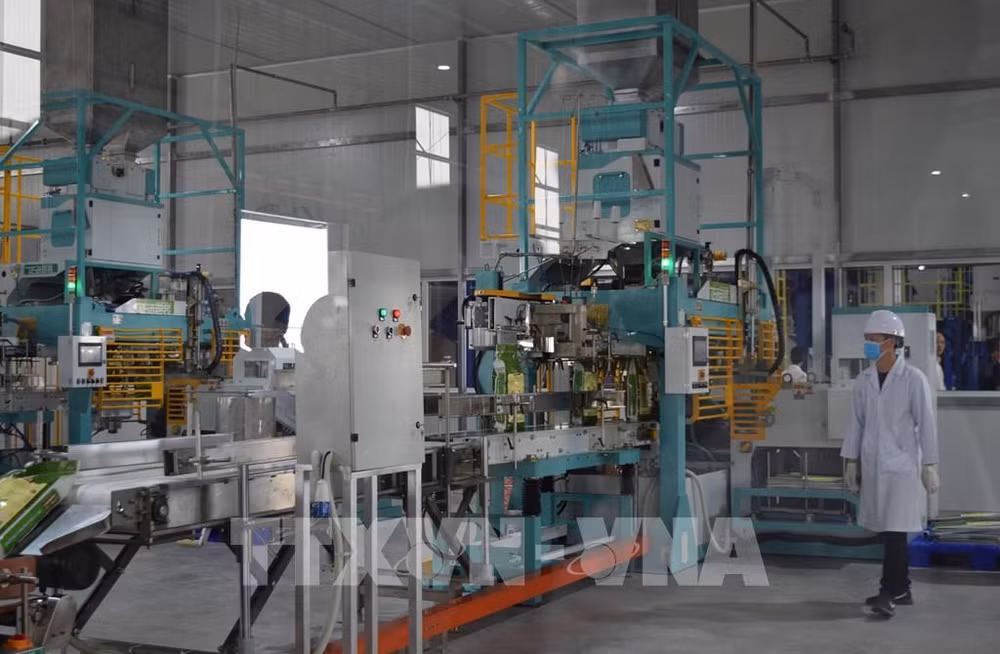 Les entreprises manufacturières optimistes quant à leurs activités au deuxième trimestre ảnh 1