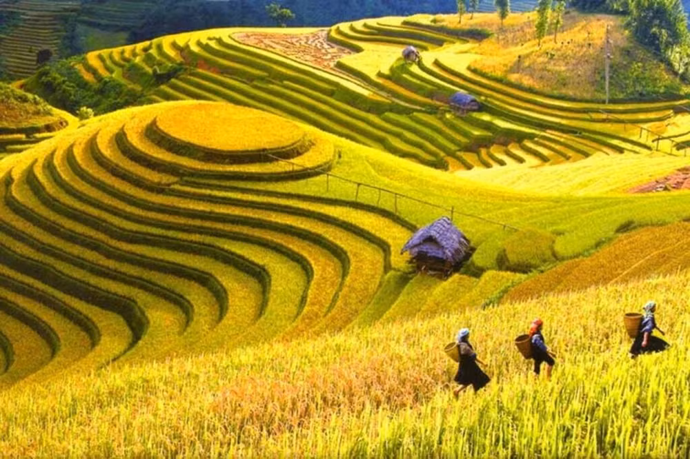 Yahoo! Life recommande neuf plus beaux endroits à visiter au Vietnam ảnh 2