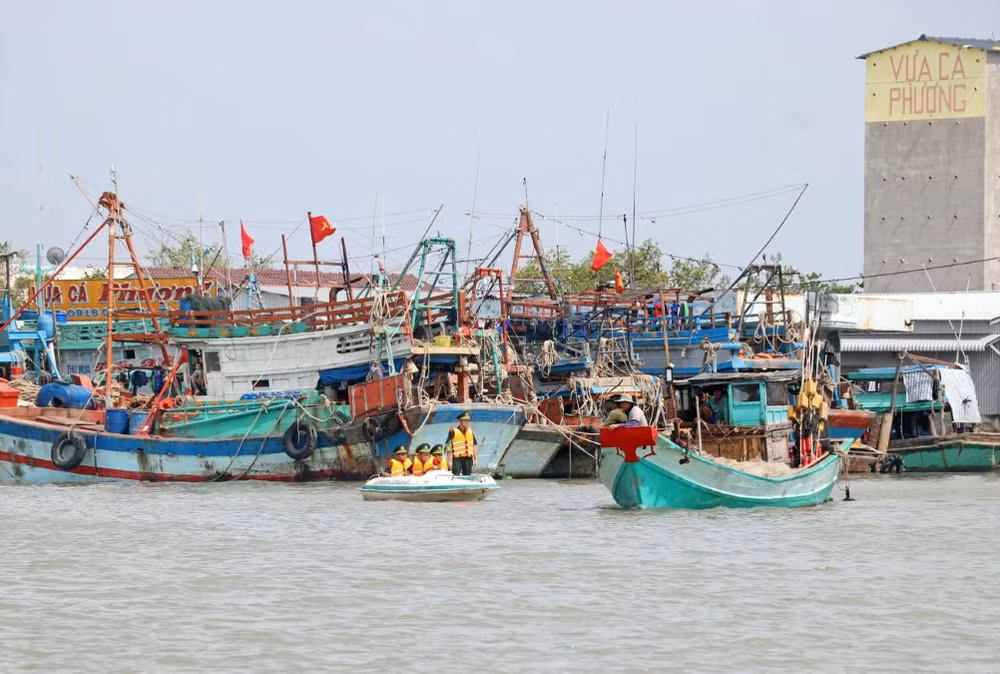 Publication du programme d'action du gouvernement contre la pêche INN ảnh 1