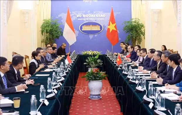 La Commission mixte de coopération Vietnam-Indonésie se réunit à Hanoi ảnh 1