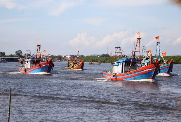 Des efforts tous azimuts nécessaires pour le retrait du carton jaune sur la pêche INN ảnh 2