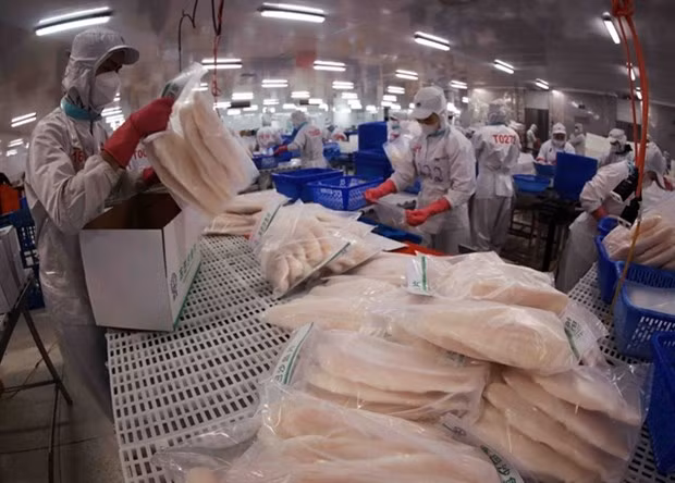 Exportations de poisson tra vers les Émirats arabes unis en hausse de 67 % au premier trimestre ảnh 1