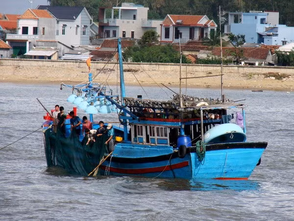 Le Vietnam fait écho à la Journée mondiale de l'Océan ảnh 1