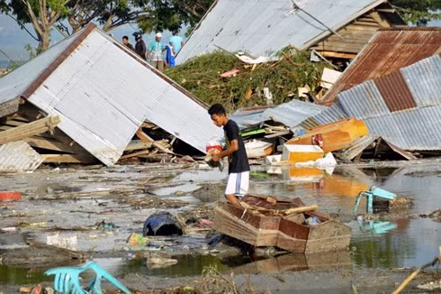 Aucune information sur les Vietnamiens morts ou blessés lors du séisme et du tsunami en Indonésie ảnh 1
