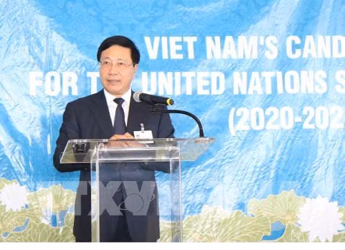 Mobilisation des pays pour soutenir la candidature du Vietnam au Conseil de sécurité de l’ONU ảnh 1