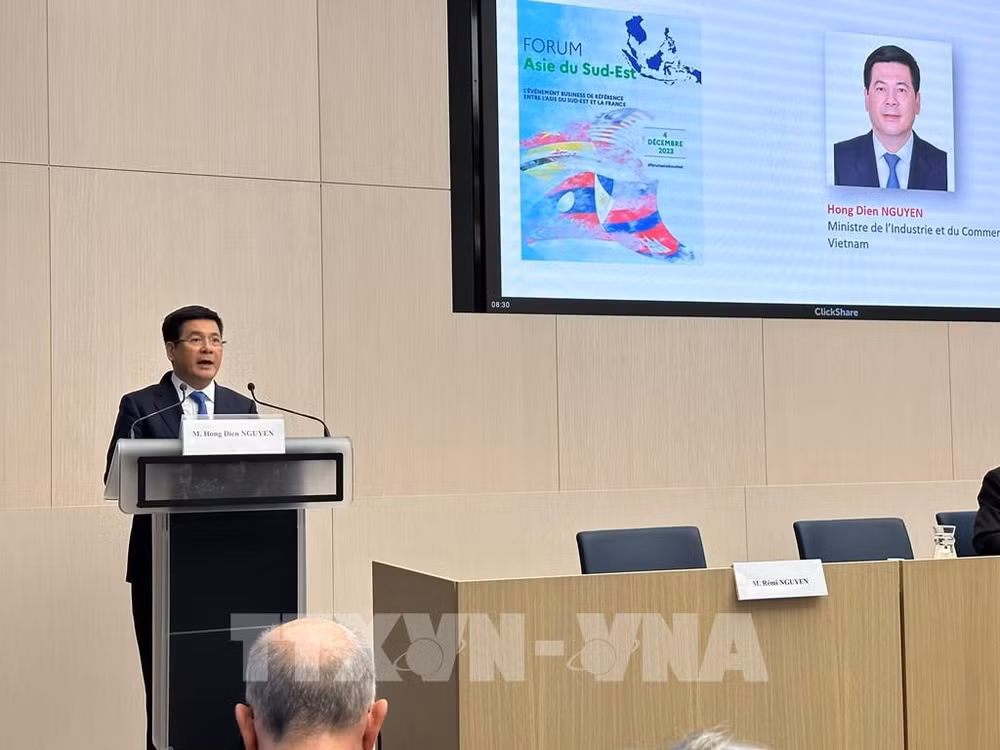 Le Vietnam dispose d’avantages particuliers pour promouvoir les relations ASEAN-France ảnh 1