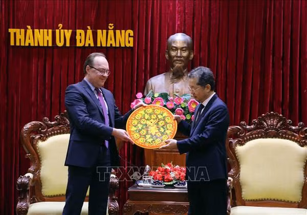 Da Nang cherche davantage d'opportunités de coopération avec la Russie ảnh 1