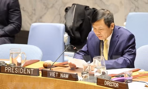 Le Vietnam salue les avancées de la situation sécuritaire dans le Nord-Ouest syrien ảnh 1