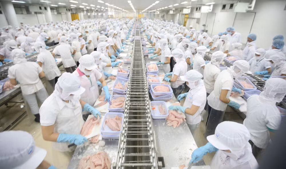 Perspectives de la coopération commerciale Vietnam – Norvège dans la nouvelle situation ảnh 1