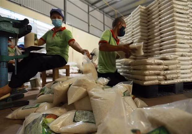 Le label «riz vietnamien» reconnu dans une vingtaine de marchés d’exportation ảnh 1