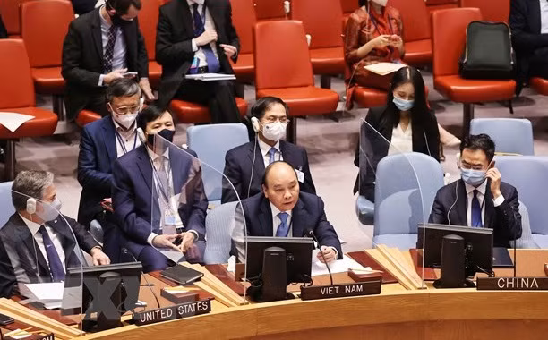 Le Vietnam apporte de nombreuses contributions précieuses au Conseil de sécurité de l’ONU ảnh 2
