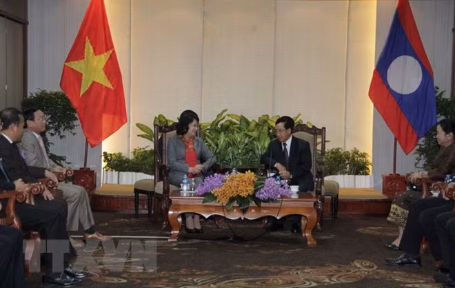 La vice-présidente du Vietnam achève sa visite officielle au Laos ảnh 1