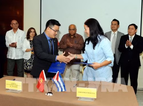 Vietnam-Cuba : des entreprises signent des accords commerciaux ảnh 1