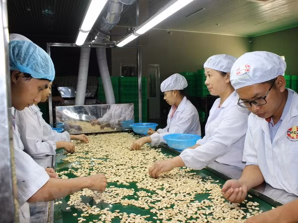 Agriculture: régler les difficultés pour parvenir à une valeur d’exportations de 40 milliards d'USD ảnh 1