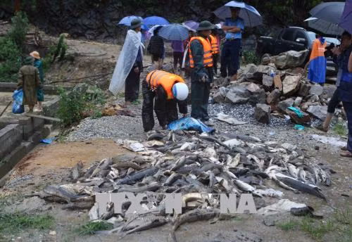 La Croix-Rouge du Vietnam accorde une aide aux victimes des crues ảnh 1