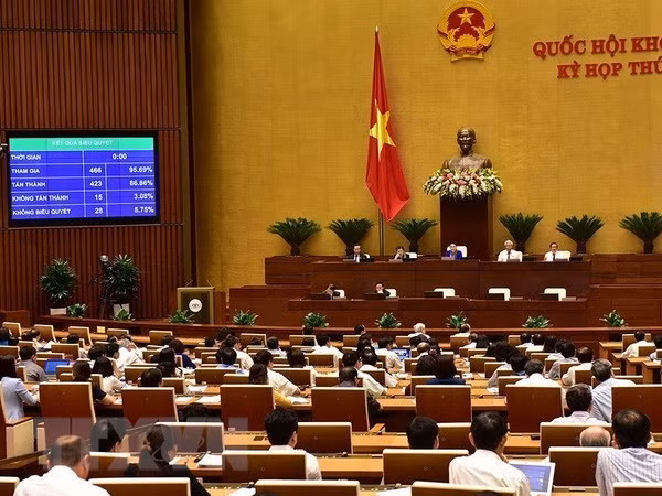 L’AN adopte deux résolutions et trois projets de loi ảnh 1