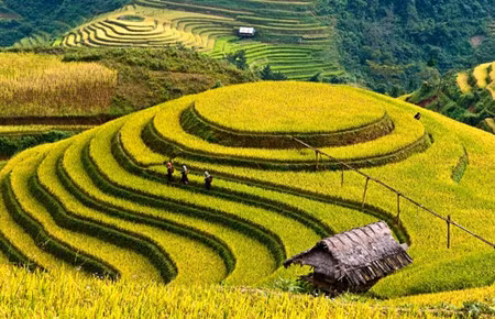 Yên Bái: deux semaines touristiques à la fois ảnh 1