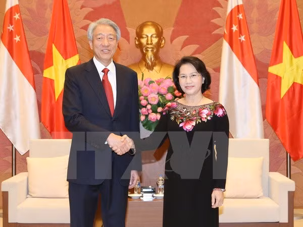 Vietnam et Singapour dynamisent leur coopération multiforme ảnh 2