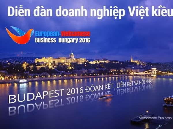 10e Forum d'affaires des Viet kieu européens en Hongrie ảnh 1