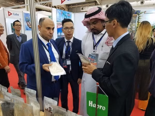Le Vietnam participe à la Foire internationale d'Alger en 2018 ảnh 1