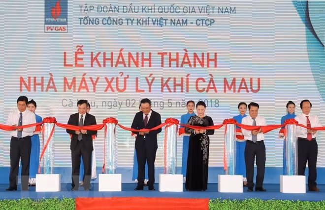 La présidente de l’AN inaugure l’usine de traitement de gaz de Cà Mau ảnh 1