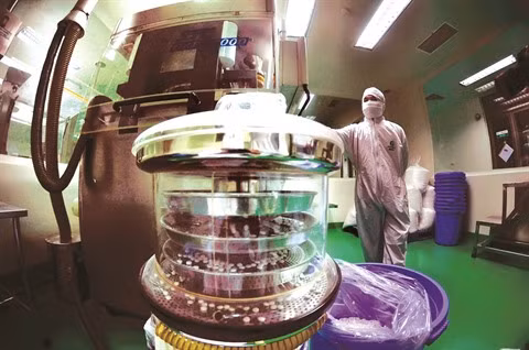 L’industrie pharmaceutique vietnamienne dans la cour des grands ảnh 1