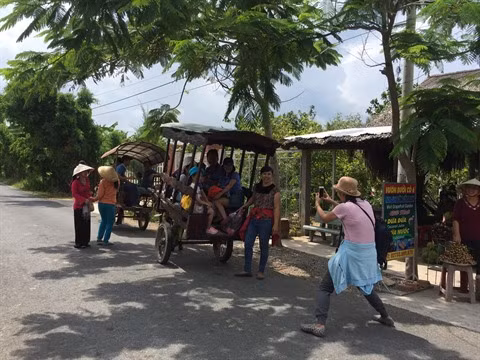 Les circuits fluviaux séduisent les touristes pendant les fêtes ảnh 2