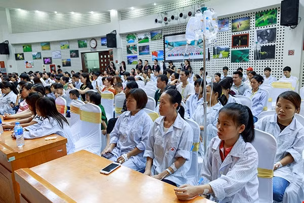  Treize millions de vietnamiens atteints de thalassémie ảnh 1