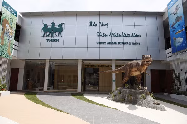 La légendaire tortue géante de Hoàn Kiêm s’en est allée ảnh 2