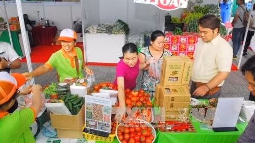 Le programme «Connexion verte en faveur d’une agriculture durable» débute à Hô Chi Minh-Ville ảnh 1