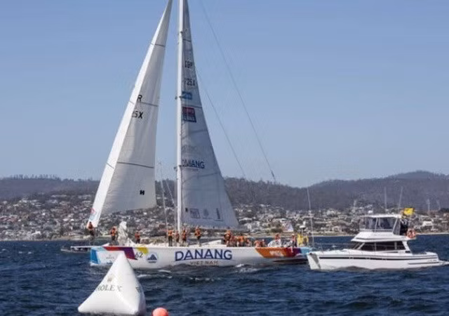 La course Clipper Race fera l’escale à Da Nang en février ảnh 1