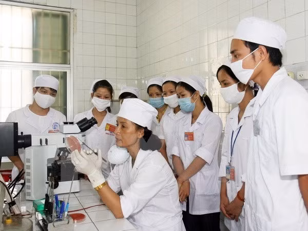 L’AEC pourrait fournir 14,5 millions de plus d'emplois pour le Vietnam en 2025 ảnh 1