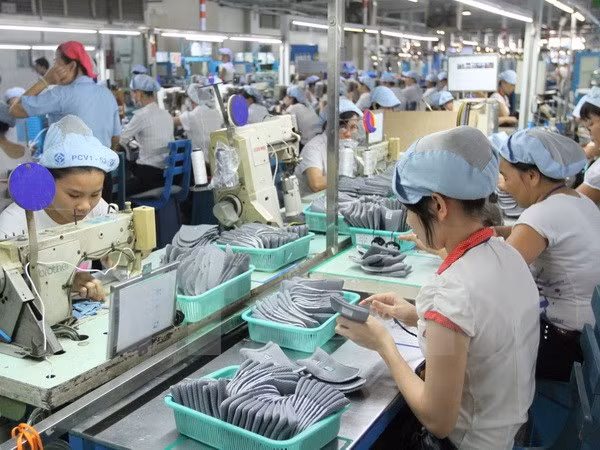 Le secteur de l’IDE contribue le plus au budget de HCM-Ville ảnh 1