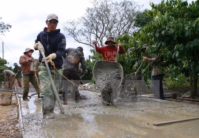 Ca Mau renforce l'édification de la Nouvelle ruralité ảnh 1
