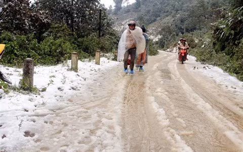 Froid et neige s’invitent sous les tropiques ảnh 2