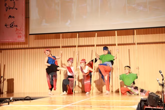 La communauté vietnamienne au Japon et en Malaisie fête le Têt traditionnel ảnh 2