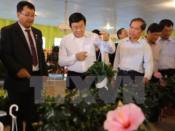 Le président Truong Tan Sang salue les modèles agricoles high tech de Lam Dong ảnh 1